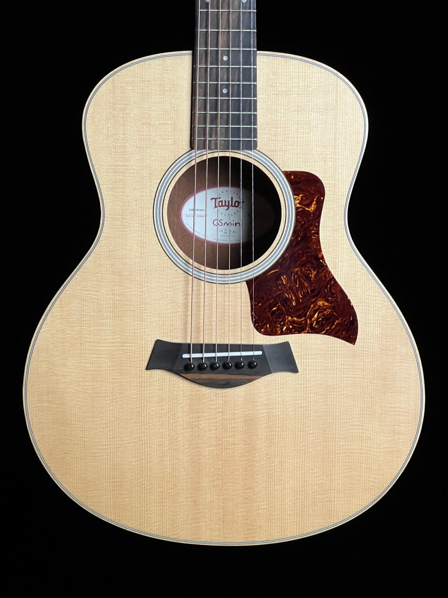 Taylor GS Mini Rosewood Acoustic Guitar - Consignment