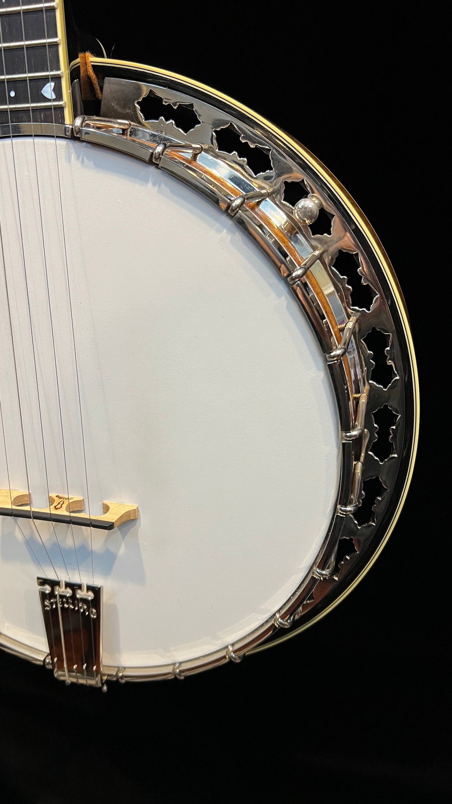 SOLD - 1995 Stelling Banjo The Sunflower - Used