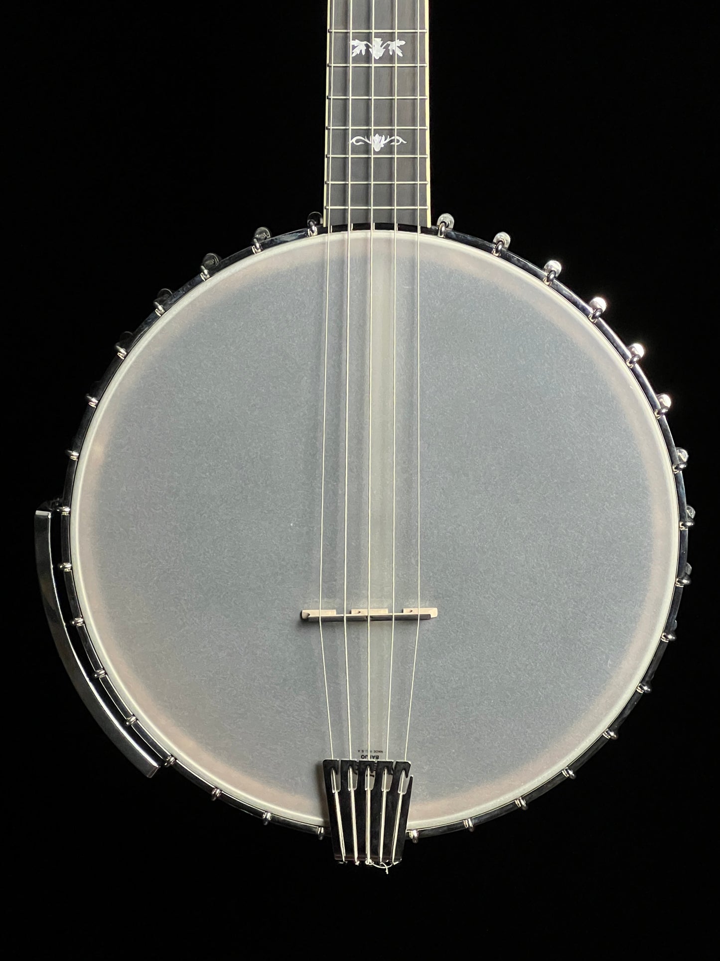 Gold Tone 5-String Cello Banjo CEB-5 - New