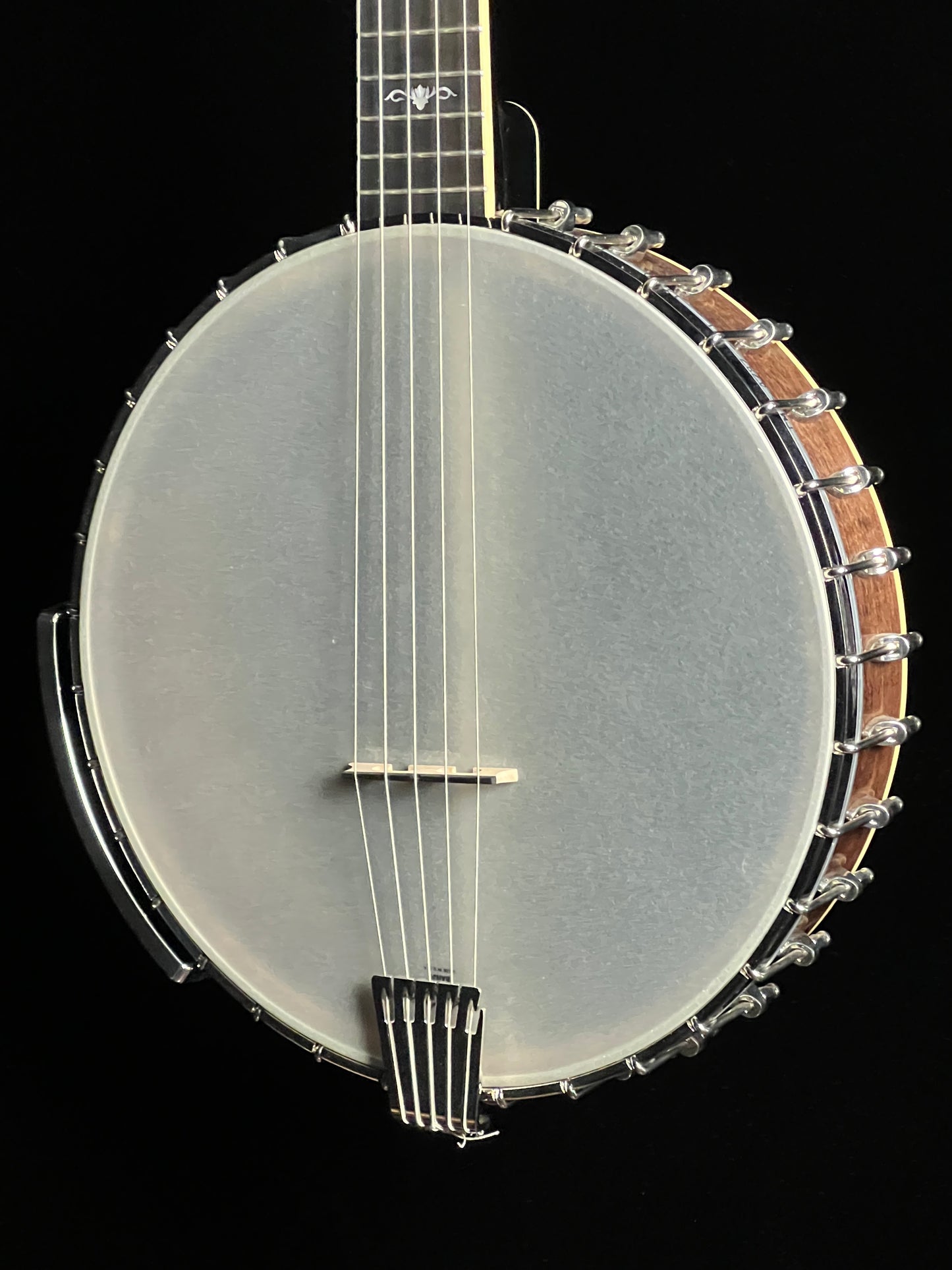 Gold Tone 5-String Cello Banjo CEB-5 - New