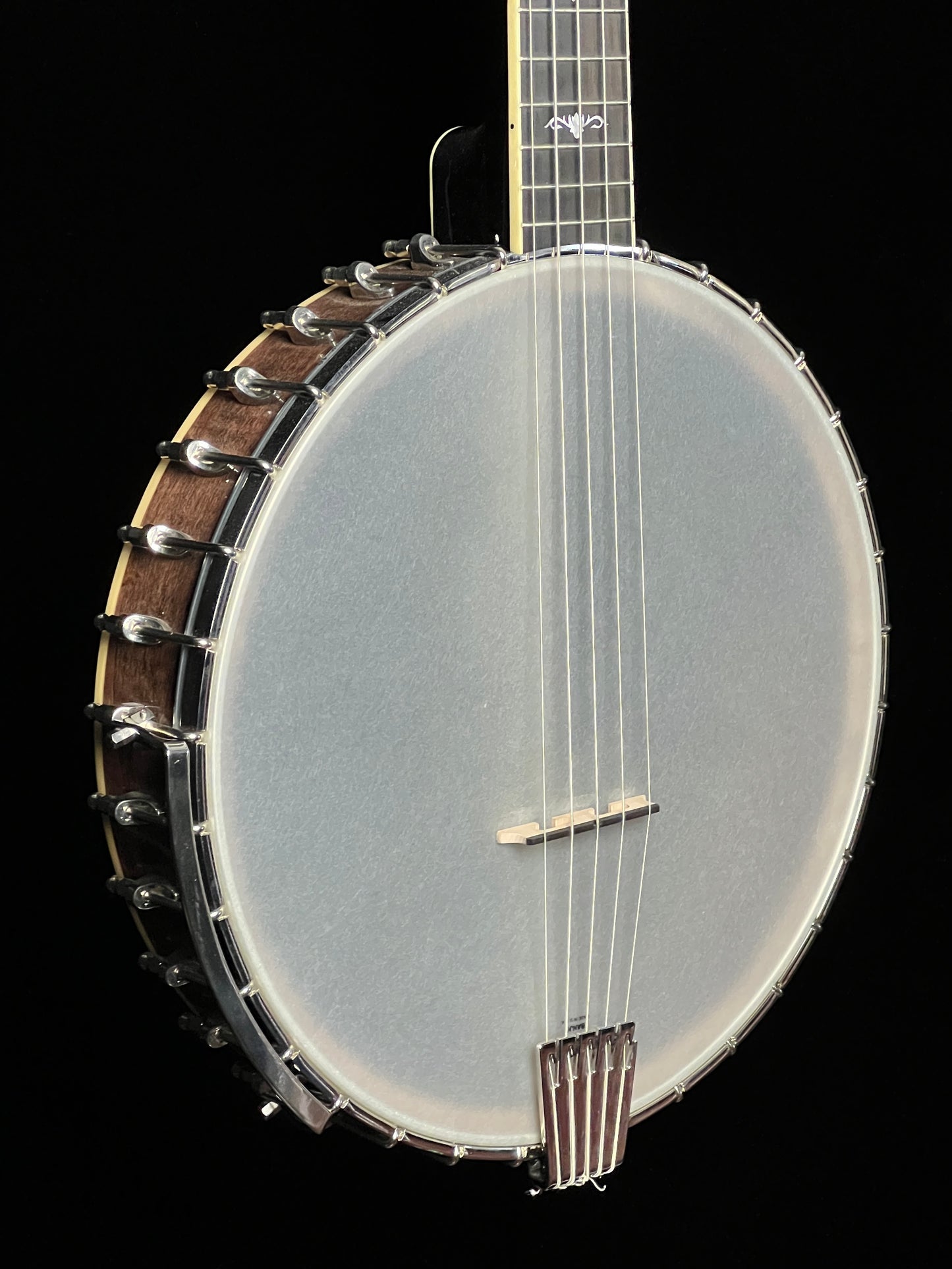 Gold Tone 5-String Cello Banjo CEB-5 - New