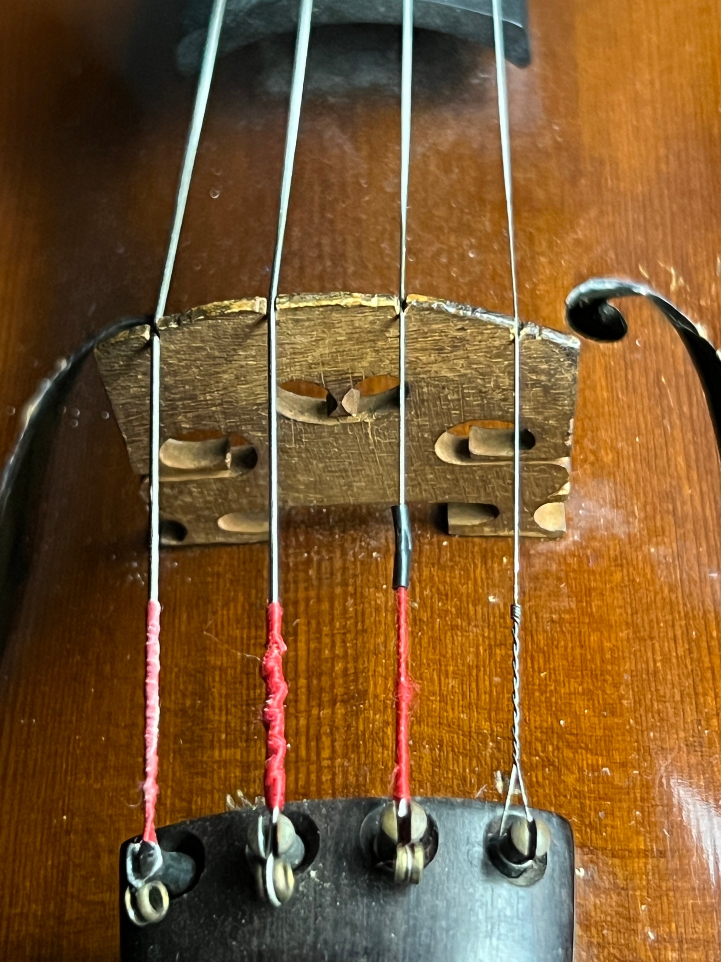 Martin Sachsen Copy Of Amati Violin / Fiddle - Consignment