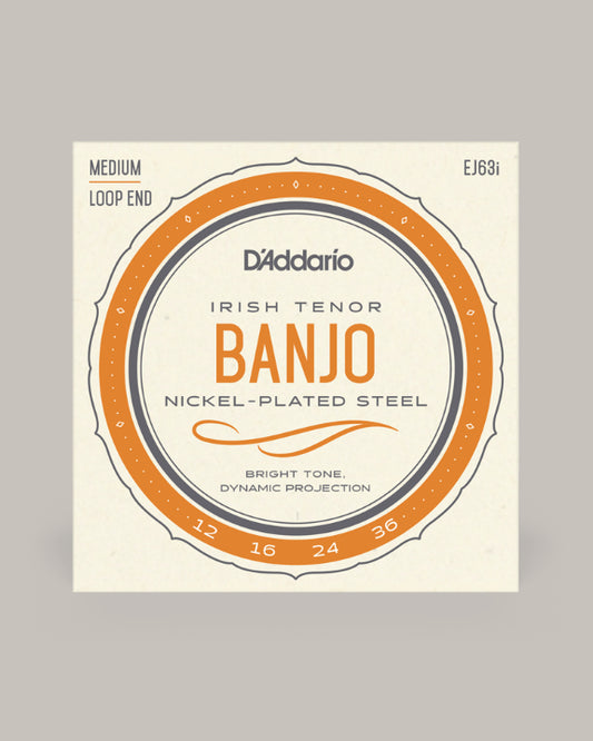 D'Addario Irish Tenor Banjo Nickel Plated Steel 12-36 EJ63i